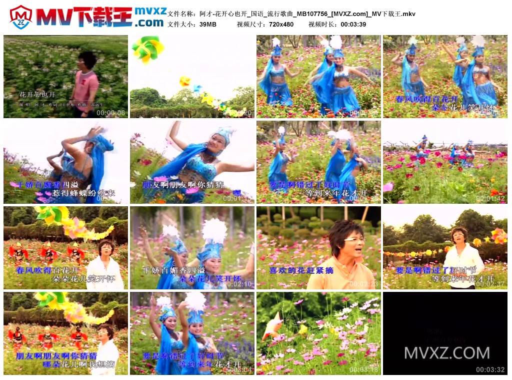 阿才-花开心也开_国语_流行歌曲_MB107756